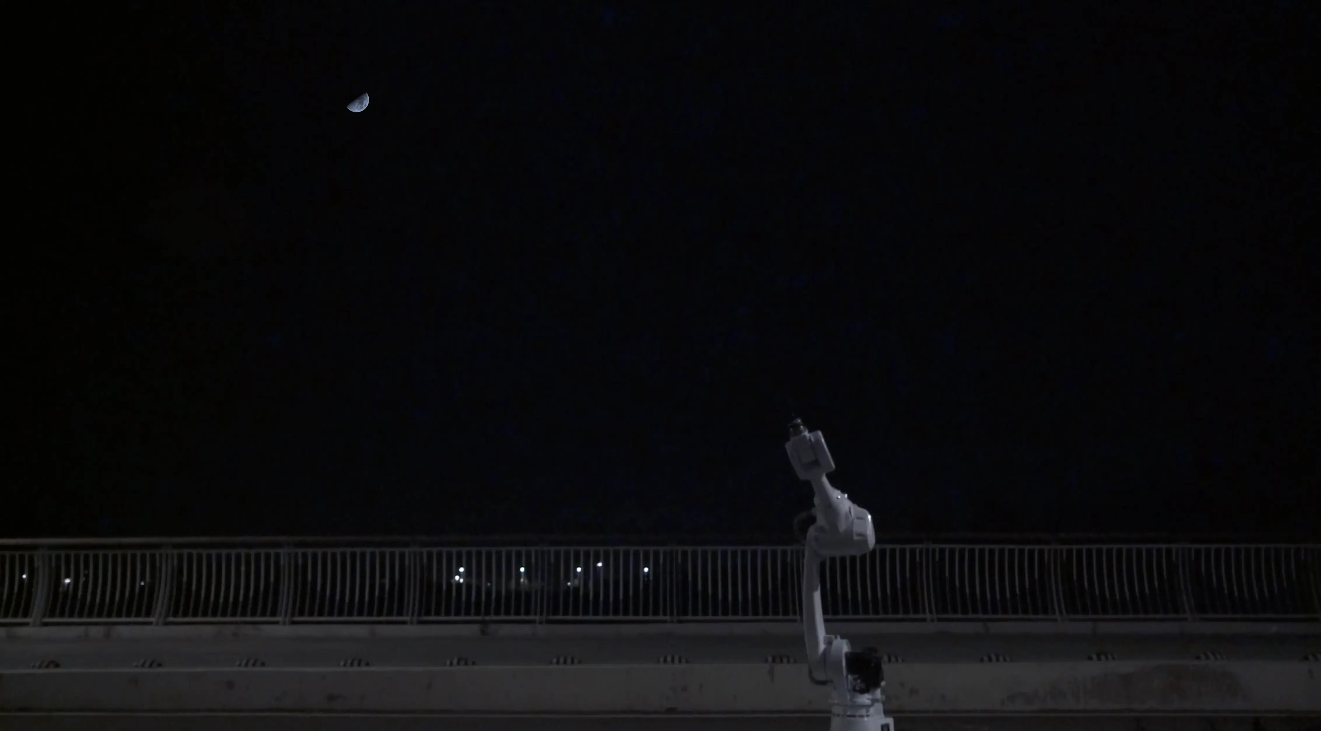 I tell the Moon my secret and the Moon tells me yours